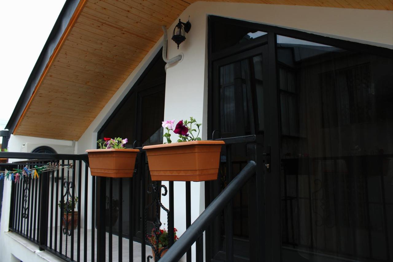 Nitsa Guest House غوري المظهر الخارجي الصورة