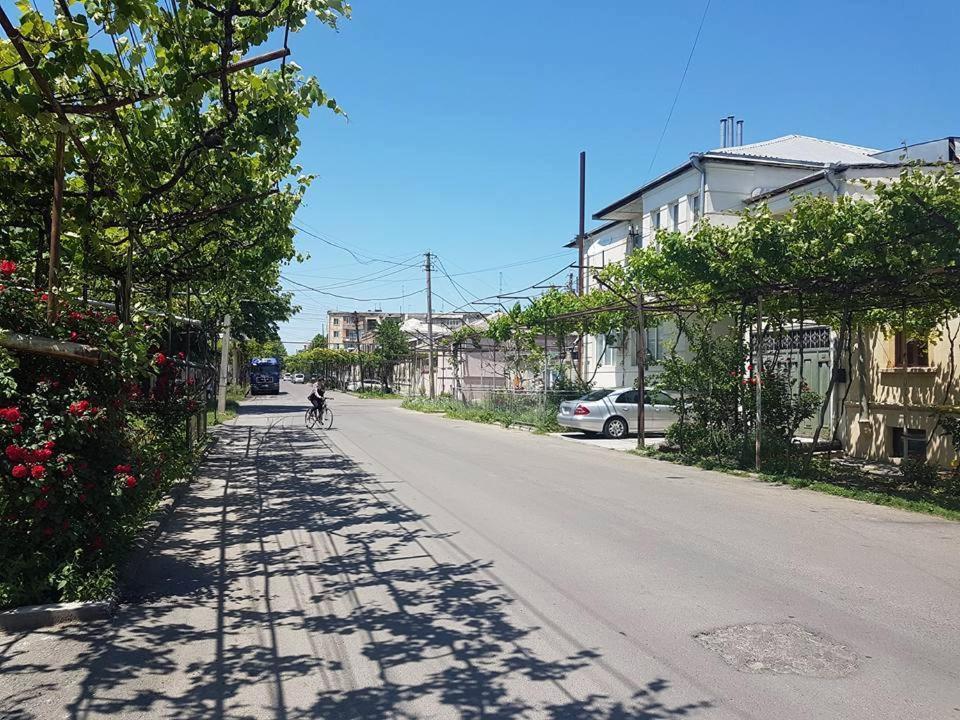 Nitsa Guest House غوري المظهر الخارجي الصورة